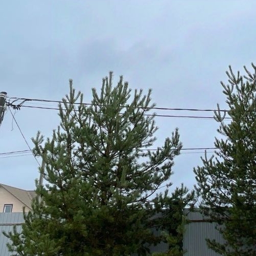 Коттедж/дом Усадьба Волковицы кп, улица Георгия Адамовича,  д. 8