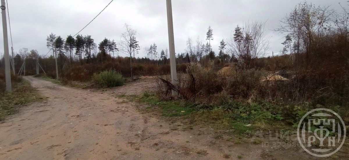 Продажа земли Полесье ДНП, улица Березовая