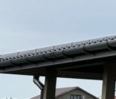 Продать Дачи, коттеджи, загородные дома шоссе Пушкинское   