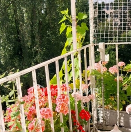 Продажа 3-комн квартиры на вторичном рынке Ленинградская улица,  д. 71