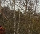 Продать Дачи, коттеджи, загородные дома Павловск, улица Анны Зеленовой  27 