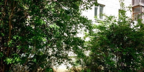 Квартира Павловск г, Пионерская ул,  д. 8