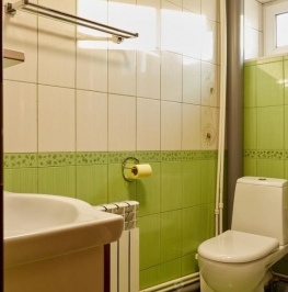 Аренда дома Ручьи, Сойкинская улица,  д. 6