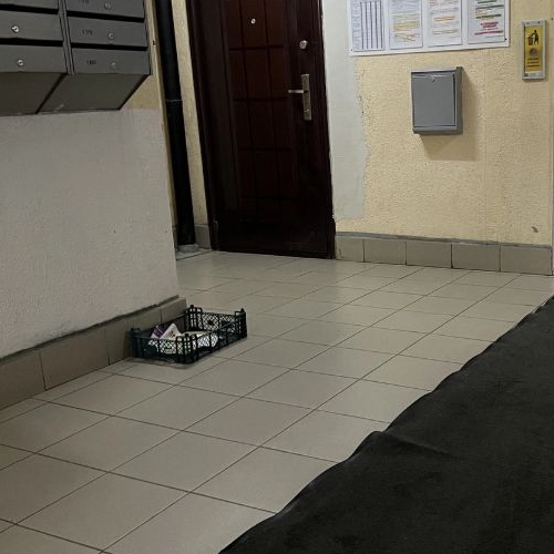 3-комн квартира Богатырский проспект, 53к1