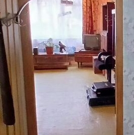 Продажа 1-комн квартиры на вторичном рынке пос. Цвылево, 44 Продажа 1-комн квартиры на вторичном рынке пос. Цвылево, 44