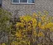 Продать Квартиры вторичка Каменногорск, Ленинградское шоссе, 61А   