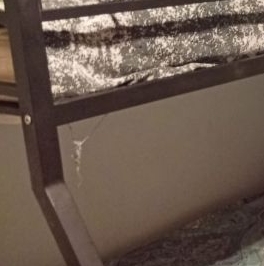 Аренда студии д. Глухово, улица Романовская,  д. 19