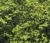 Продать Квартиры вторичка Велозаводская улица, 3/2   