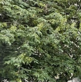 Продажа 2-комн квартиры на вторичном рынке Новокузнецкая улица, 35-37С2 Продажа 2-комн квартиры на вторичном рынке Новокузнецкая улица, 35-37С2