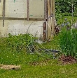 Продажа дома Надежда СНТ, 352 Продажа дома Надежда СНТ, 352