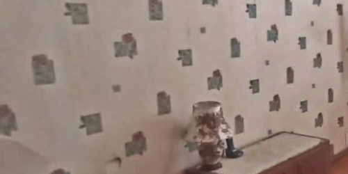 2-комн квартира улица Академика Павлова, 9К1