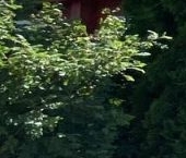 Продать Дачи, коттеджи, загородные дома Липки СНТ, 5-я линия, 72   