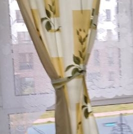 Аренда 1-комн квартиры на вторичном рынке Пригород Лесное мкр, Мисайлово пгт, шоссе Пригородное, 22