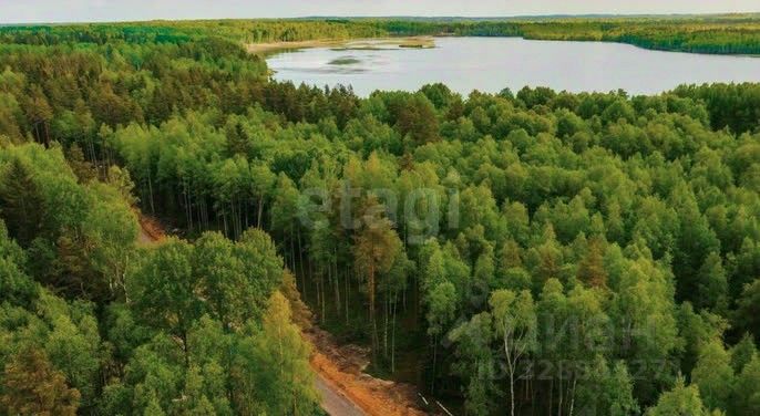 Продажа земли Экофорест 2 кп, улица Сосновая,  д. 516