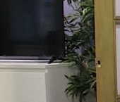 Продать Квартиры вторичка 11-я Васильевского острова линия, 40   