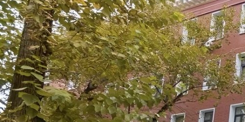 Студия Сенежская улица, 3