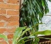 Продать Квартиры вторичка Малая Бронная улица, 30/1   