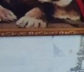 Продать Квартиры вторичка Сергиев Посад, Инженерная улица, 2   