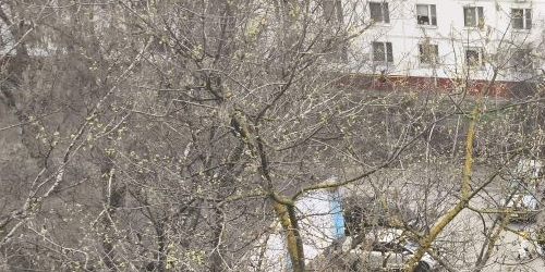 2-комн квартира Севанская улица, 15К1