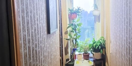 Комната улица Ольги Форш, 7К2