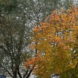 Продажа 1-комн квартиры на вторичном рынке Саввино мкр, Балашиха, улица Детская, 11к1