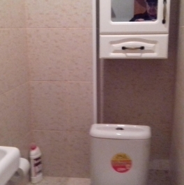 Аренда 3-комн квартиры на вторичном рынке Тучков пер., д. 5 Аренда 3-комн квартиры на вторичном рынке Тучков пер., д. 5