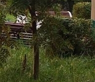 Продажа квартиры на вторичке Петергоф, Собственный проспект, 34