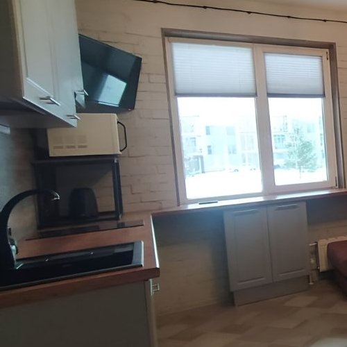 1-комн квартира Лахта тер., улица Новая, 51к11