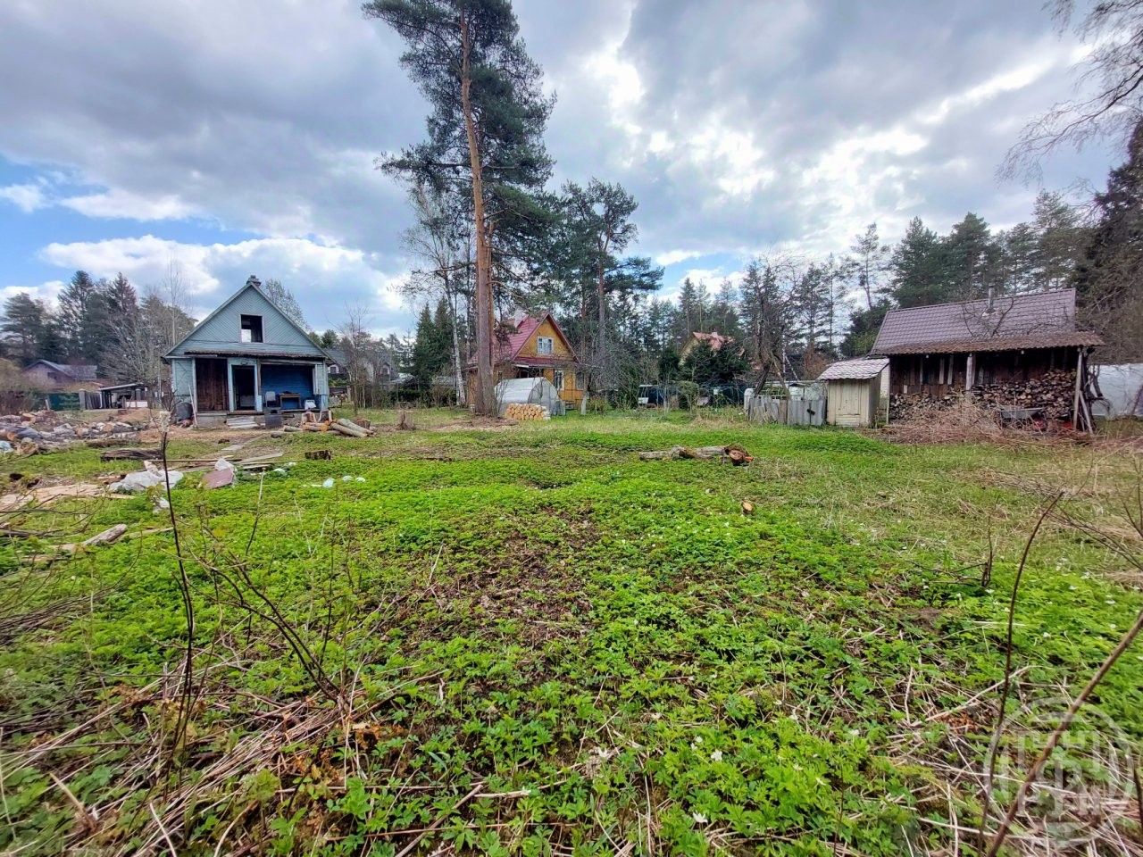 Продажа земли пос. Белоостров, улица Арктическая, 44