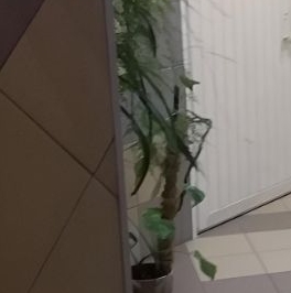 Продажа 1-комн квартиры на вторичном рынке Пражская улица, 44