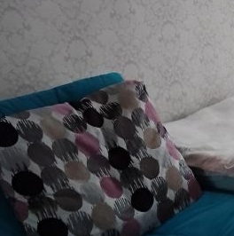 Аренда 2-комн квартиры на вторичном рынке Пулковское шоссе, 40К3 Аренда 2-комн квартиры на вторичном рынке Пулковское шоссе, 40К3