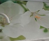 Сдать в аренду Квартиры вторичка улица Мневники, 5   