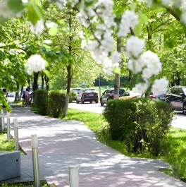 Продажа офиса Научный проезд,  д. 8,  к. 1