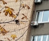 Продать Квартиры вторичка Большая Черкизовская улица, 5К1   