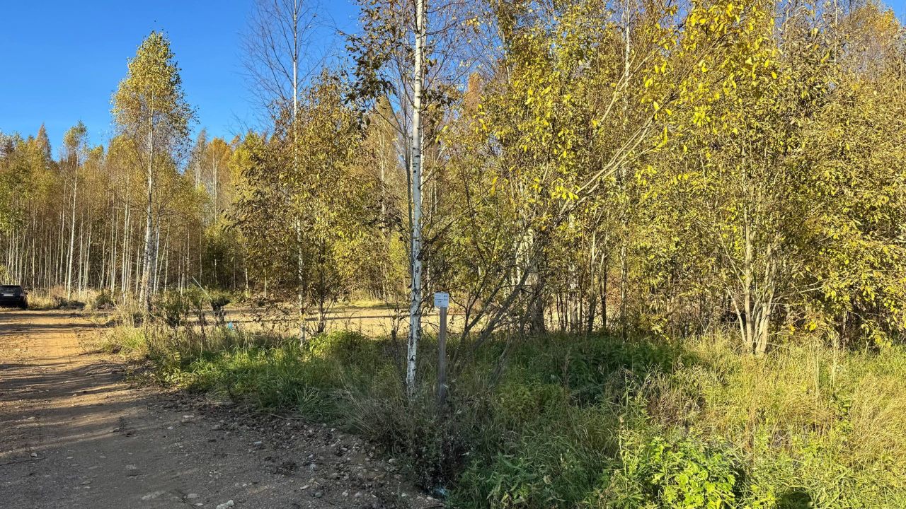 Продажа земли д. Турышкино, улица Новая