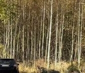 Продать Земельные участки, земля д. Турышкино, улица Новая   