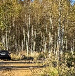 Продажа земли д. Турышкино, улица Новая