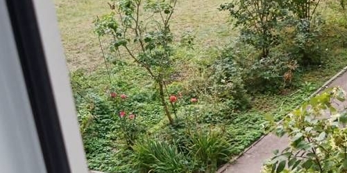 1-комн квартира Королев, площадь Колхозная, 3