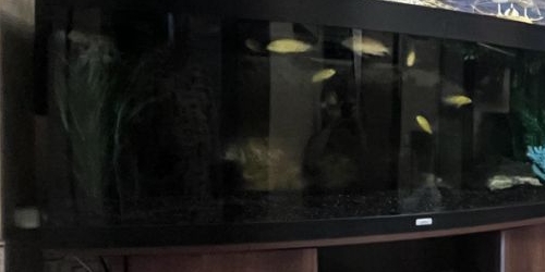 2-комн квартира Заревый проезд, 1к1