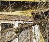 Продать Земельные участки, земля Автомобилист СНТ, 116   