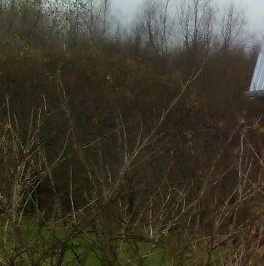 Продажа дома Тикопись садоводческий массив, Фосфорит СНТ, 8-я линия, 449