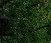 Сдать в аренду Квартиры вторичка Мичуринский проспект, 50   