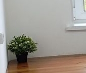 Продать Квартиры вторичка Коммунар г., улица Ново-Антропшинская, 5к2   