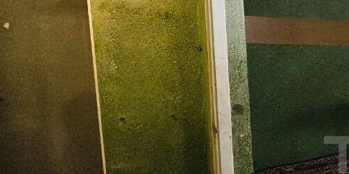 1-комн квартира Бестужевская улица, 31к1