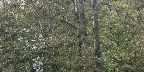 3-комн квартира улица Кибальчича, 12К2