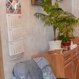 Аренда 2-комн квартиры на вторичном рынке Пушкино, улица Тургенева, 4