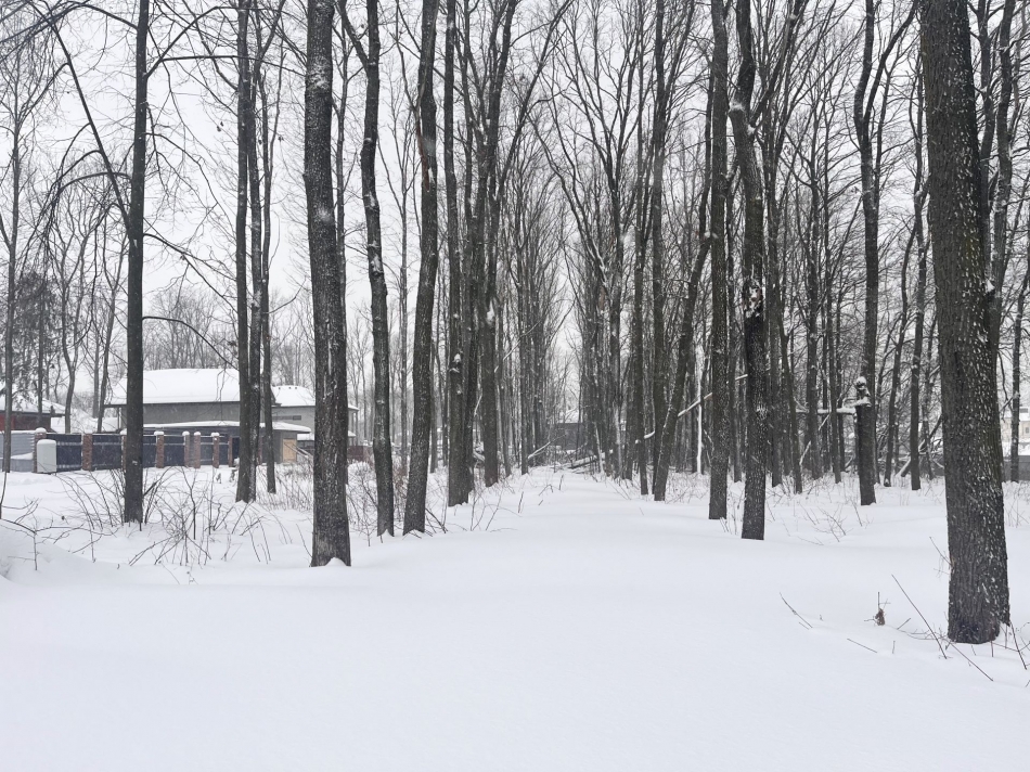 Продажа земли деревня Коробово, деревня Коробово
