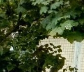 Продать Квартиры вторичка пос. Пудость, улица Зайончковского, 9   