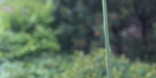 2-комн квартира Озерковская набережная, 6