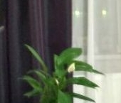 Продать Квартиры вторичка Красногорск, бульвар Космонавтов, 6   